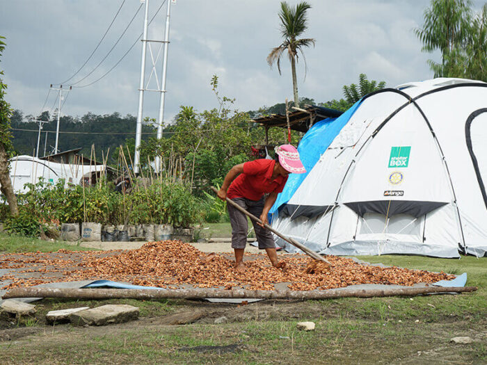 Woman working with cocoa