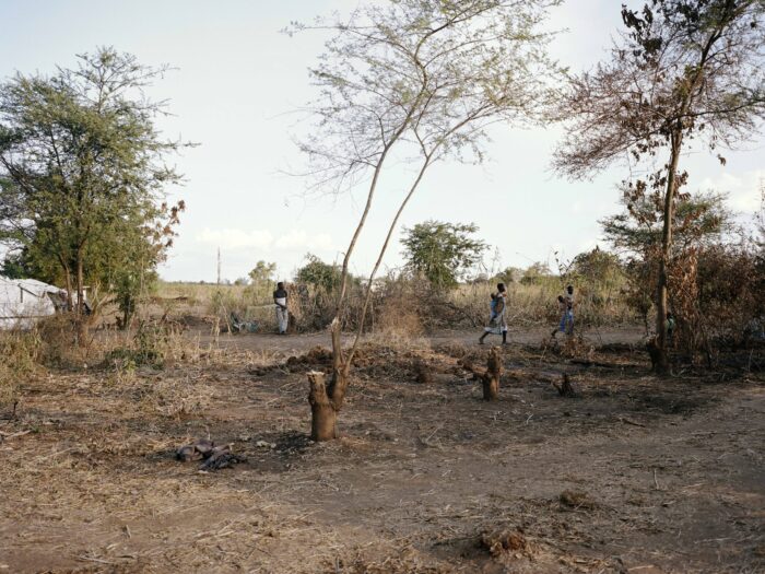 people walking in a small field with a few trees