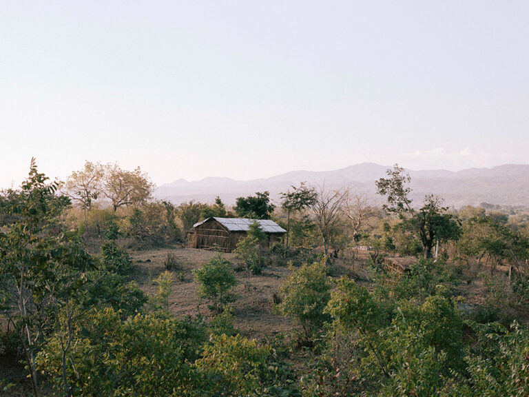 a house surrounded by trees