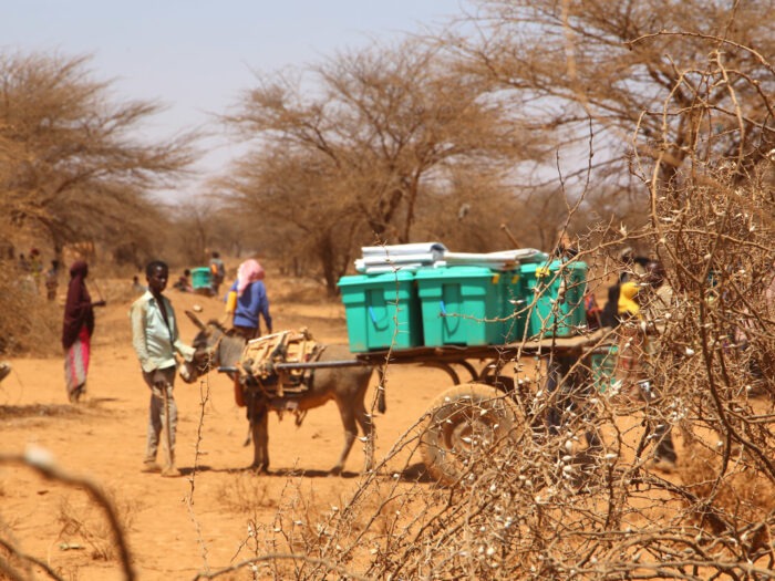 A donkey carrying Shelter boxes