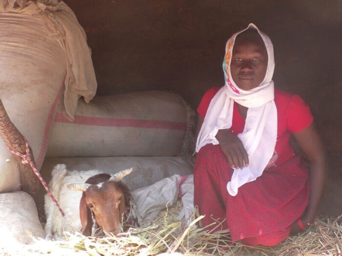 A woman sitting next to a sheep