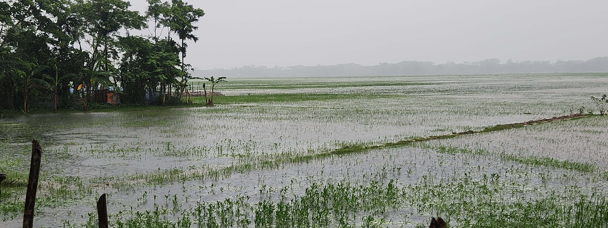 Flooded land in Bangladesh