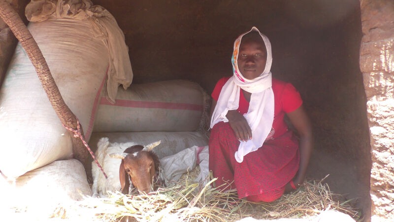 A woman sat in an emergency shelter with a goat.