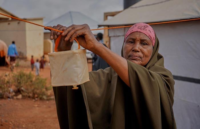 A woman hanging a solar light.